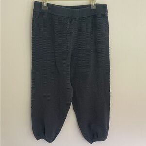 Women’s Free People FP Beach Knit Jogger Pants size large